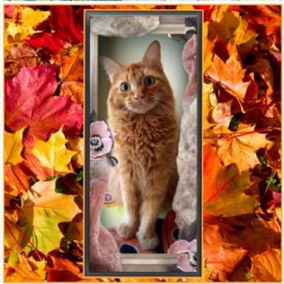 Welcome to my closet! - Picture 2 of 2